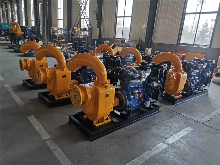 IMG_202411298049_4000x3000